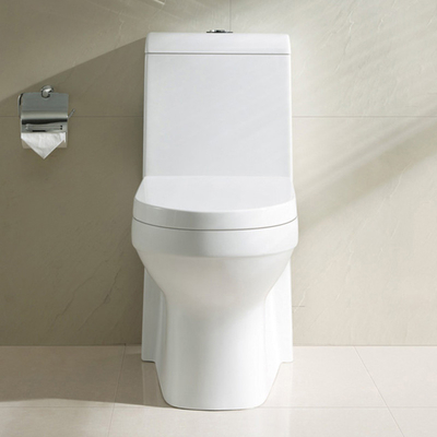 白い浴室の洗面所は同じ高さの細長いまわりを回られた一つの便器のサイフォンを選抜する
