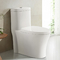 アメリカ標準的な慰めの高さの強力な二重フラッシュの白い浴室の洗面所