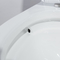 陶磁器の一つの洗面所の自浄式艶をかけられた表面の1.6 Gpfの細長い洗面所