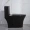 Iapmoの浴室の洗面所の無光沢の黒い1部分の二重水洗便所は陶磁器サイフォニックを延長した