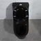 300mm サイフォニックの一つの洗面所のアメリカ標準的な黒い磁器