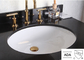 白い現代Adaの浴室はアンダーマウントのたらいの楕円形の陶磁器の15インチを沈める