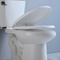 陶磁器の二つの部分から成った便器WC高く白いSのトラップ300mmの浴室の整理ダンス