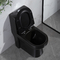 黒い一つの細長い洗面所1.6のGpfのサイフォンのジェット機の洗面所洗い流すシステム